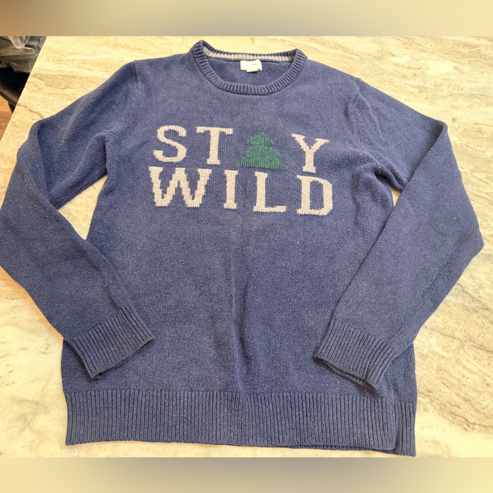 Old Navy Blue Sweater with 'Stay Wild' Design